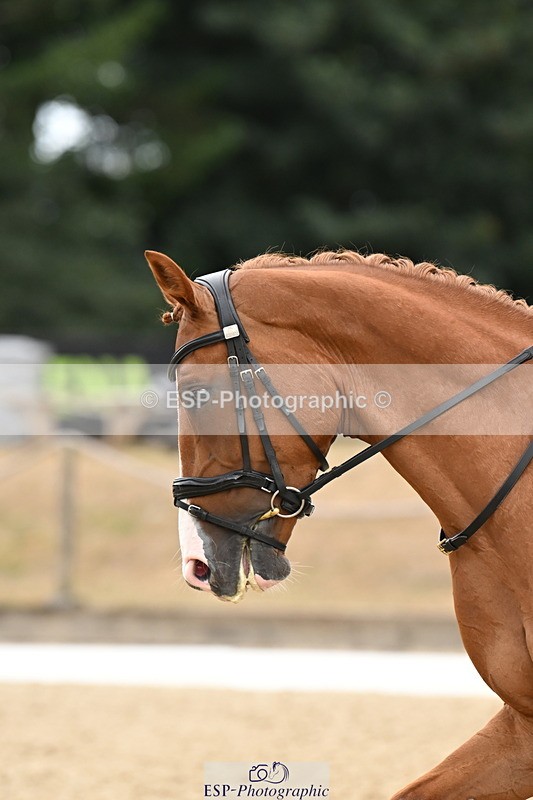 250808A-113442-00641 - 133-Leanna.Osborne-PHERREAU