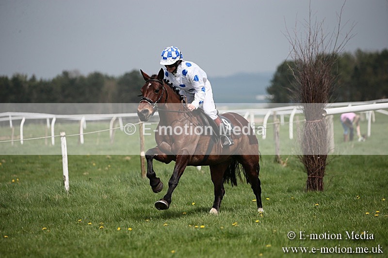 PtP 210418 51 - South & West Wilts Point-to-Point Larkhill 21/04/18