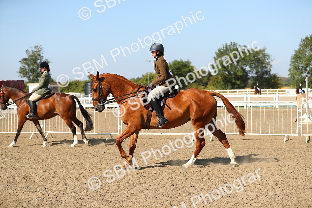 SBM_02239 - Class 43 Ridden Competition Horse/Pony