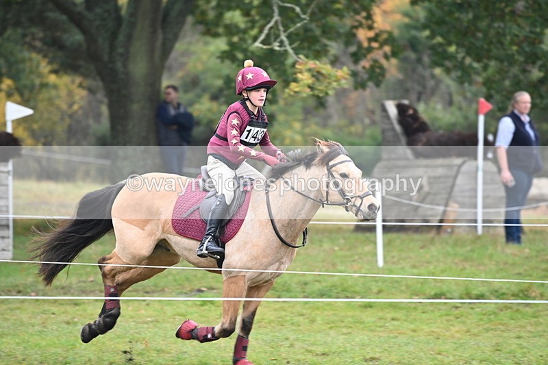 WJ6_2423 - 80cm Cam 1 Time 11:23 to 12:04