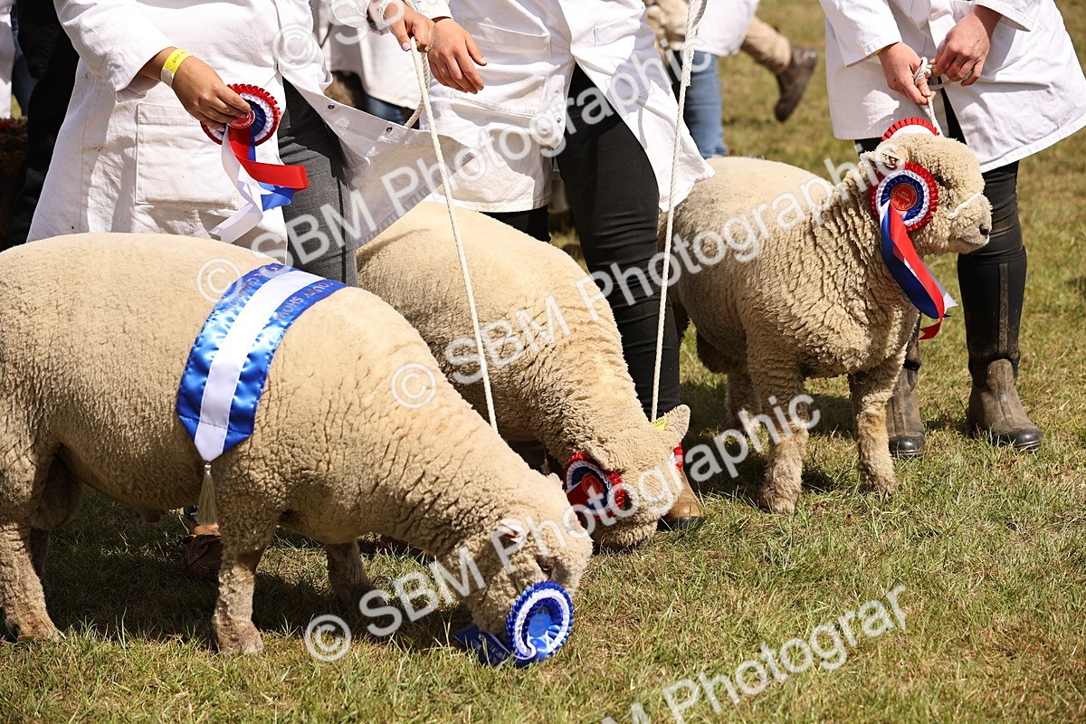 SBM_16928 - Grand Parade