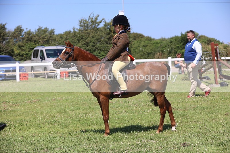 JPP_2238 - Class 20: Tiny Tots Working Hunter Pony