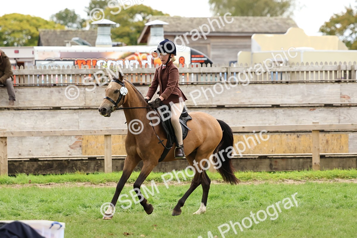 SBM_67405 - S61 - Mountain & Moorland Ridden