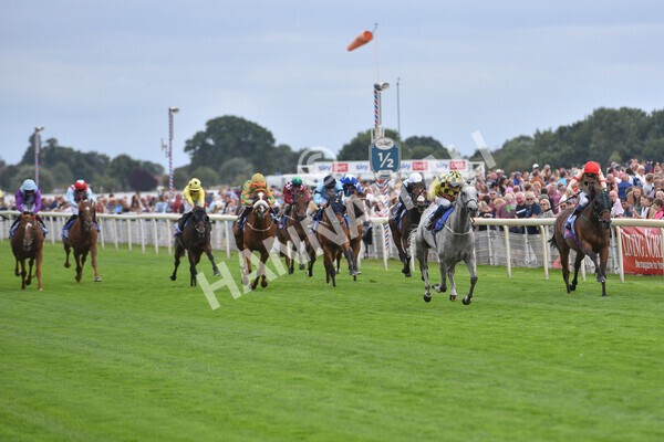 yr17082022r5-44 - Race 5 4.10pm Sky Bet Stayers Stakes