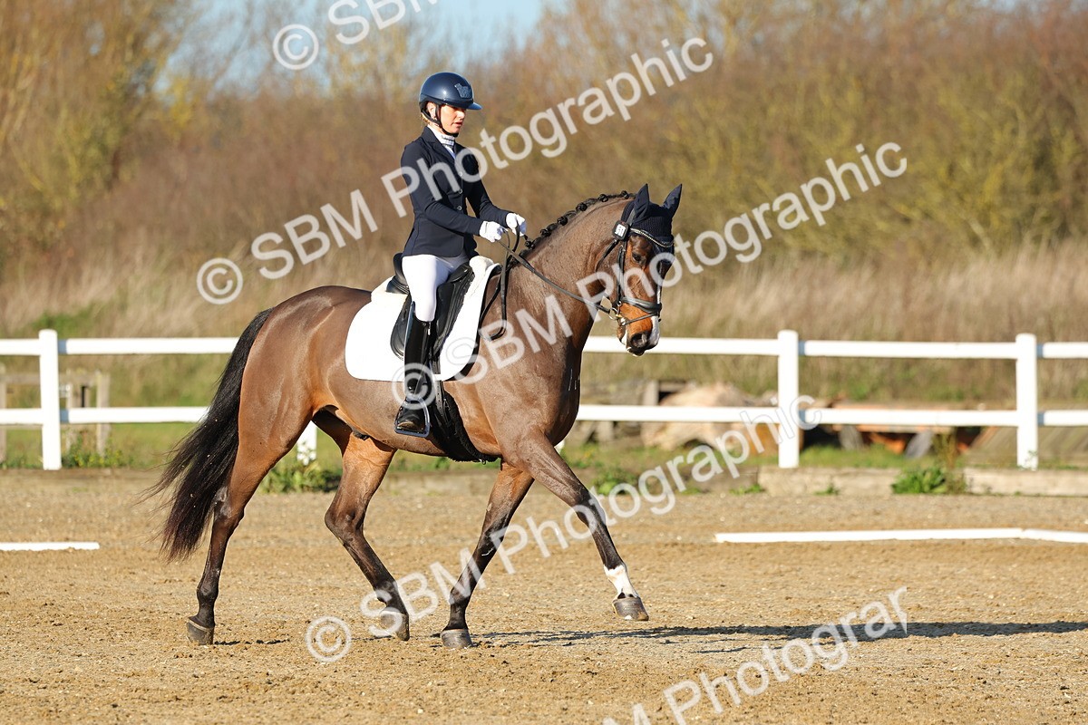 1I0A4636 - Class 5 - Novice 5