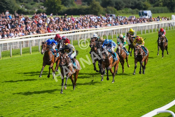 150723-Race 5-Specific Times-0531 - Race 5 4.20pm John Smith's Nursery Handicap