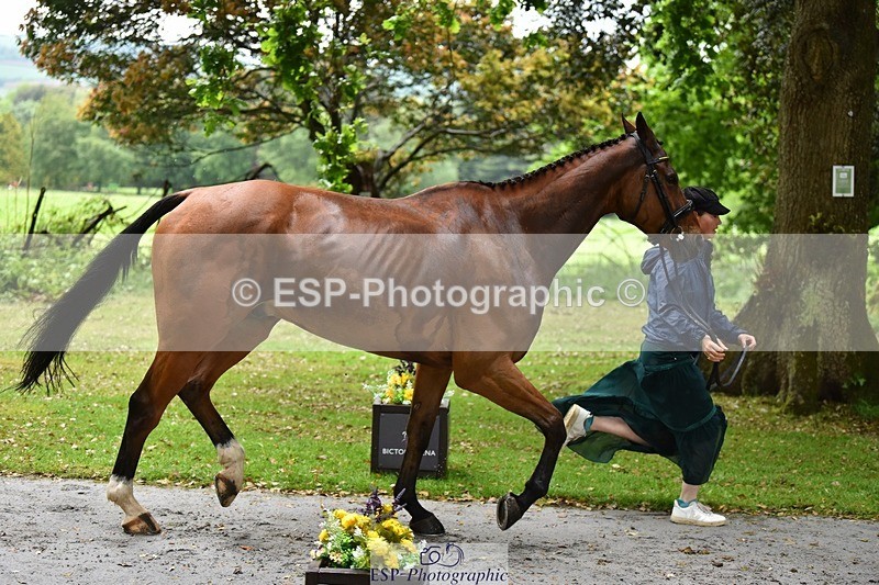 240522-152416-00316 - 329-GLOBAL_AMARETTO-Charlotte_Agnew