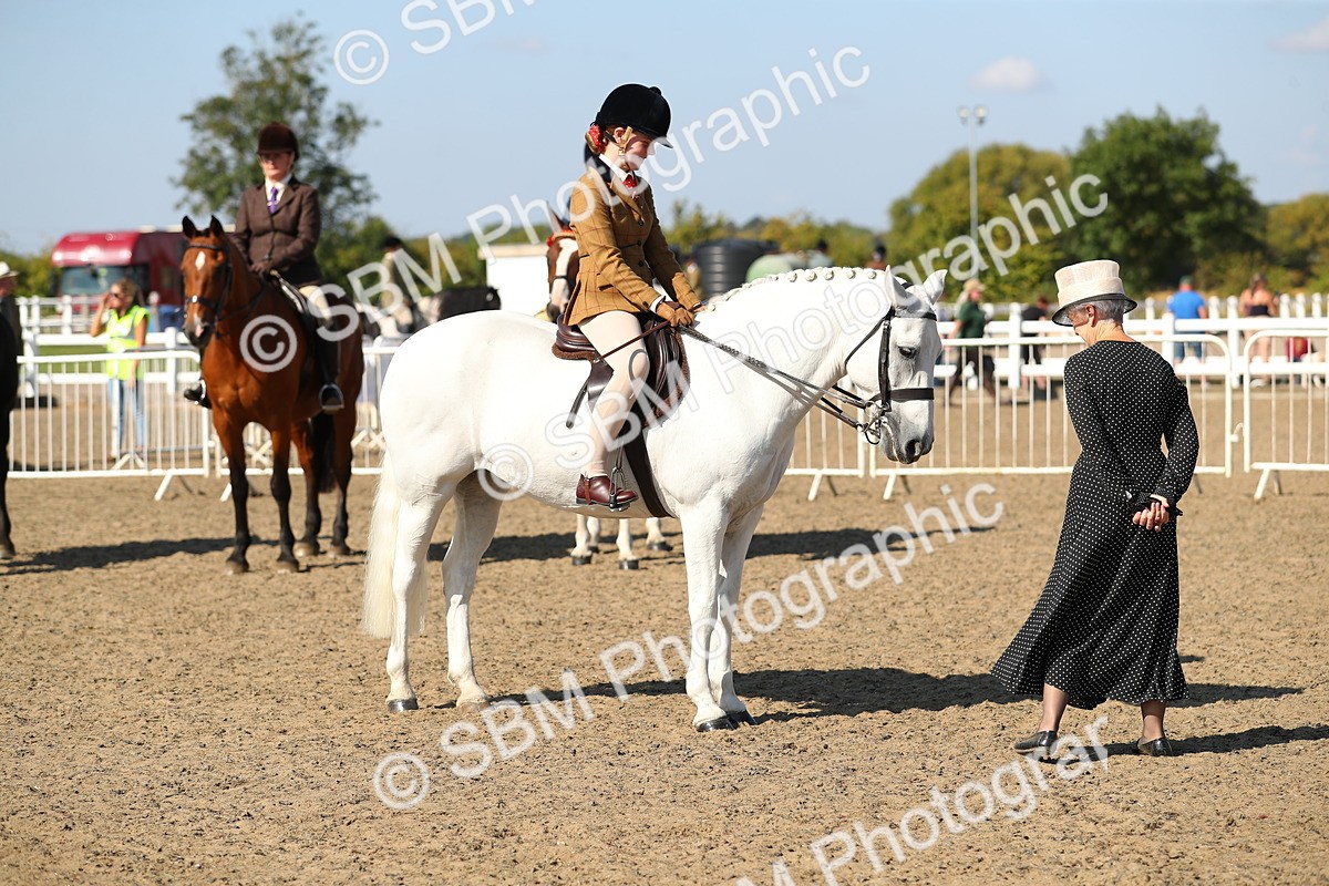 SBM_02302 - Class 43 Ridden Competition Horse/Pony
