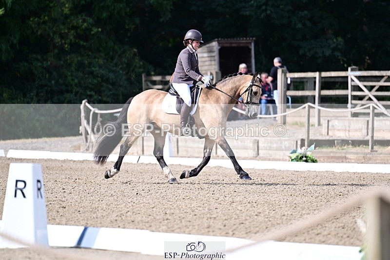 260802A-093301-04938 - Novice Bronze start - break