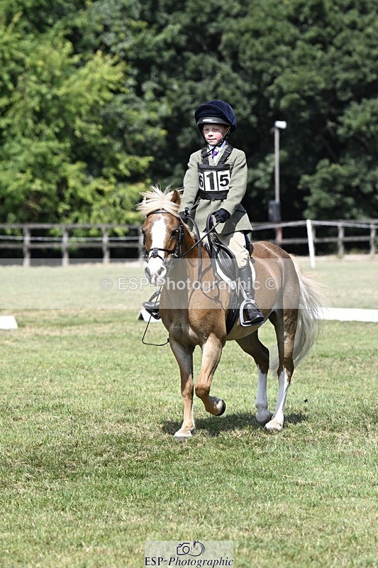 250822A-124800-21909 - DR 12.00 to End