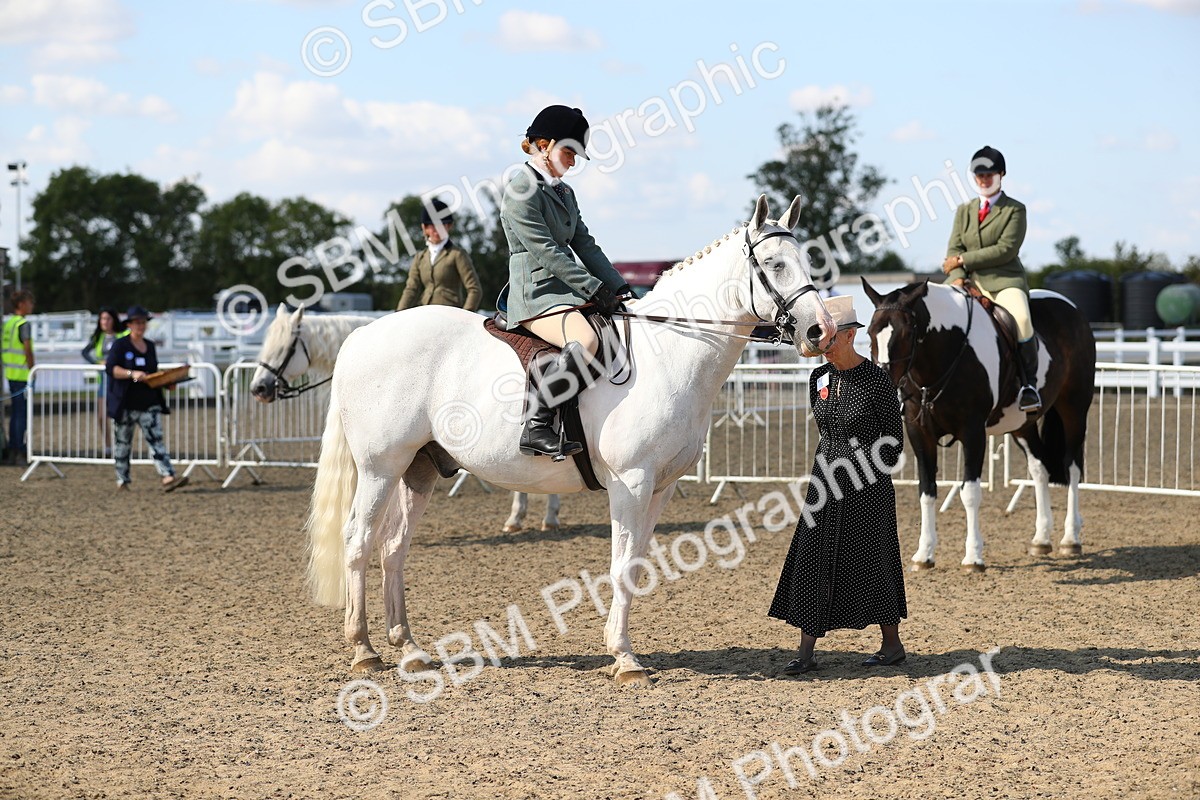SBM_03256 - Class 44 Riding Club Horse/ Pony