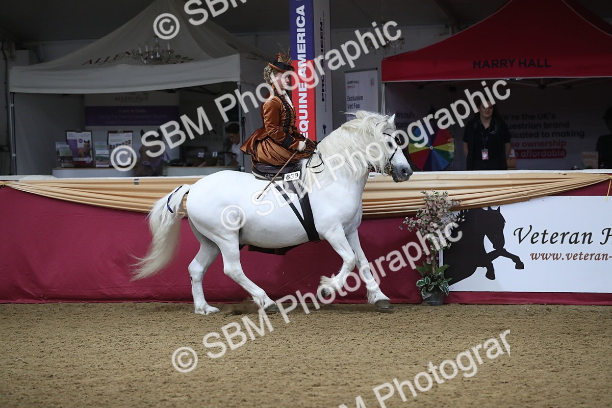SBM_11539 - Class 105 Ridden Costume- Side Saddle