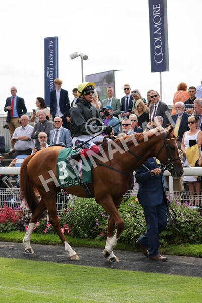 yr20082021r2-25 - Race 2 2.25pm Weatherbys Hamilton Lonsdale Cup (British Champion Series race)