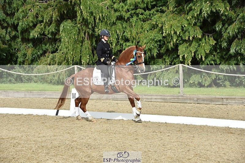 230812-160252-05320 - FEI PSG Bronze Presentations