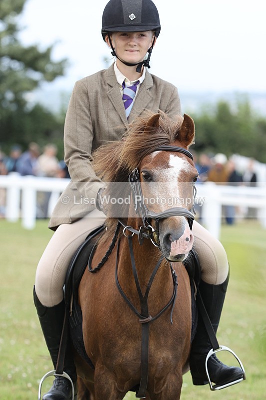 JPP_1908 - Class 18: Tiny Tots Working Hunter Pony