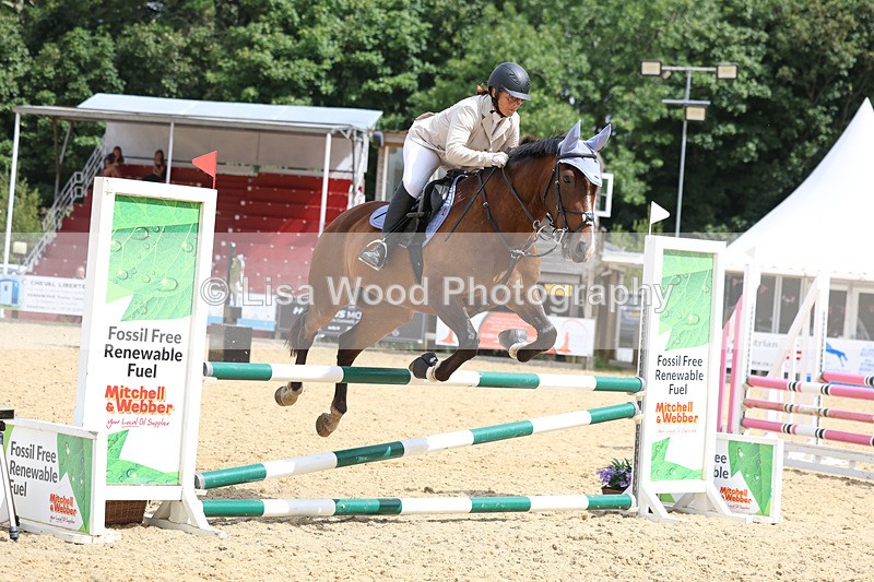 3E7A4613 - Class 4: Senior British Novice/90cm open