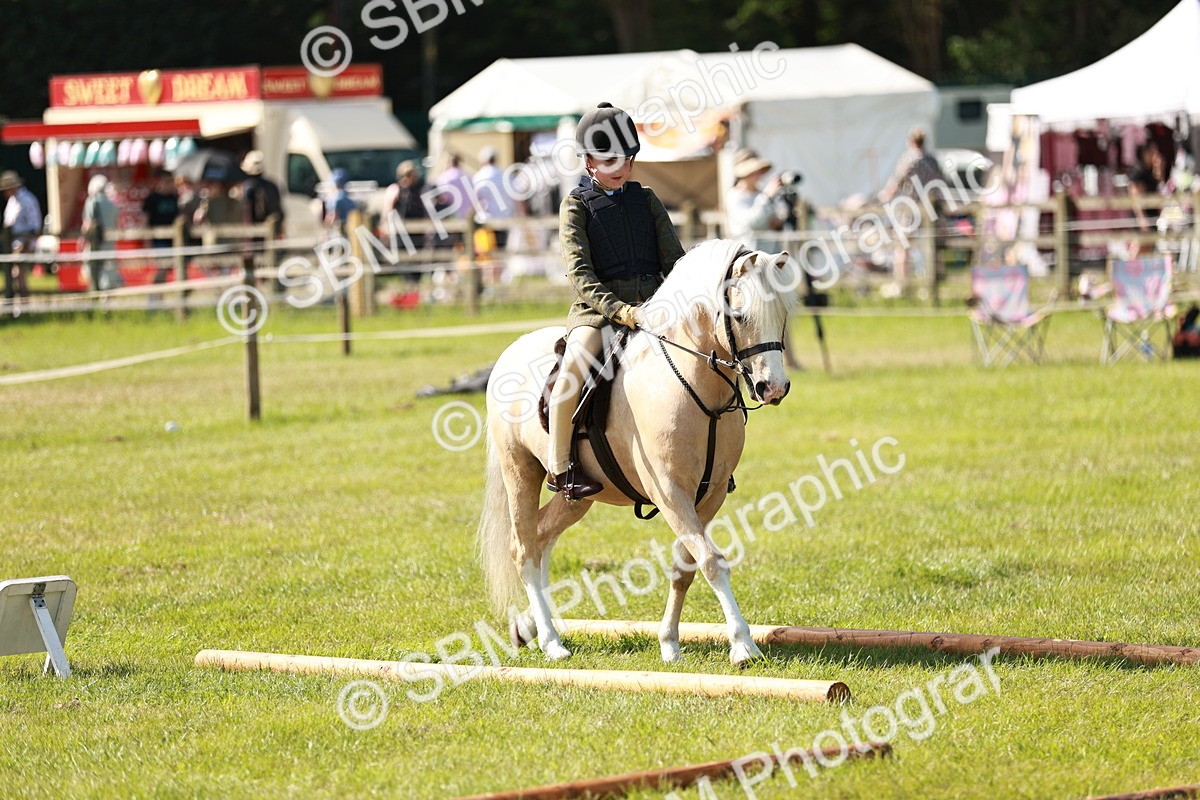 SBM_12664 - Class 106-107 - BSPS LIHS Working Sports Pony
