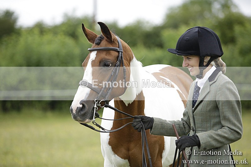 BVR160717-861 - Ring 2 BVRC Show 16/07/17