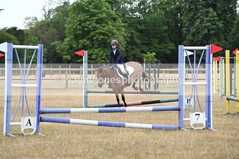 WJ6_9995 - Class 13 Novice Jumping 60cm