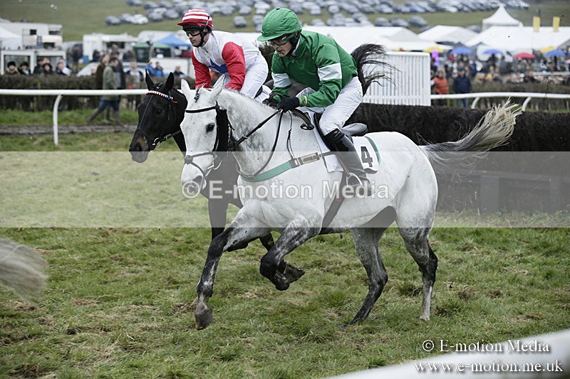 PtP 020418 -40 - Old Berks Point-to-Point Races Easter Monday 02/04/18