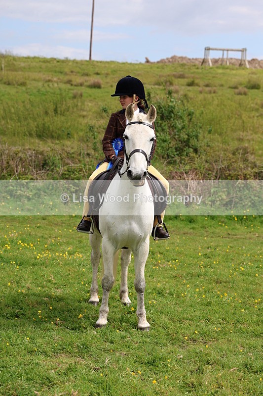 3E7A1614 - Class 8: Ridden Veteran Junoir and Senior