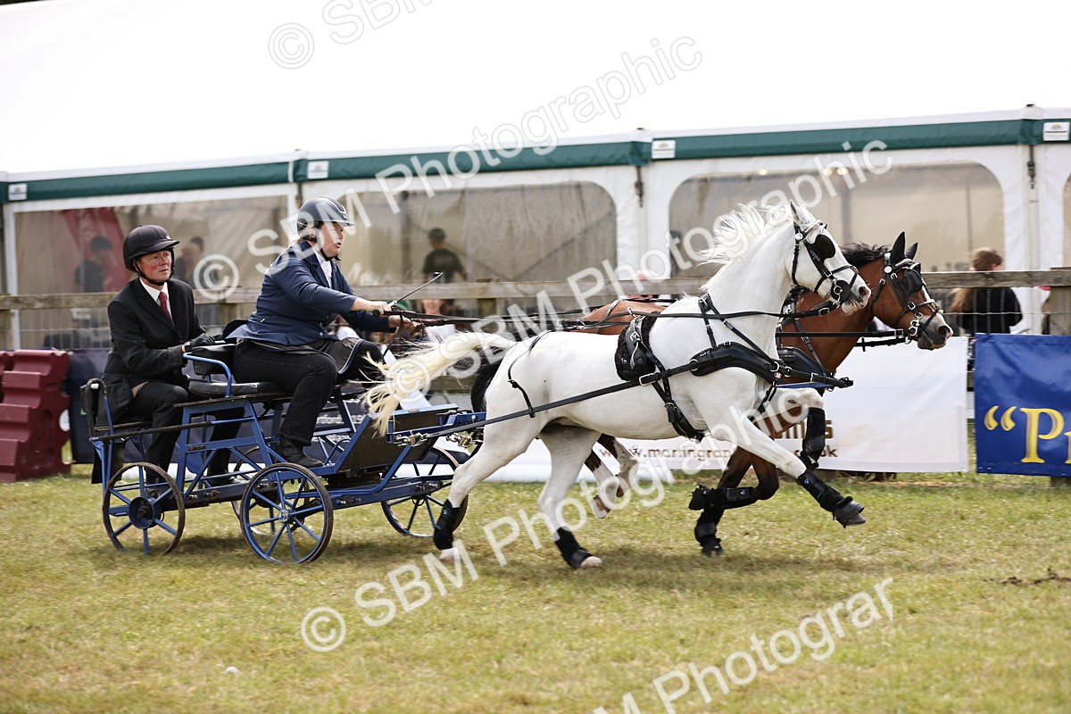 SBM_16050 - Class 91 - Scurry  exceeding 122cms