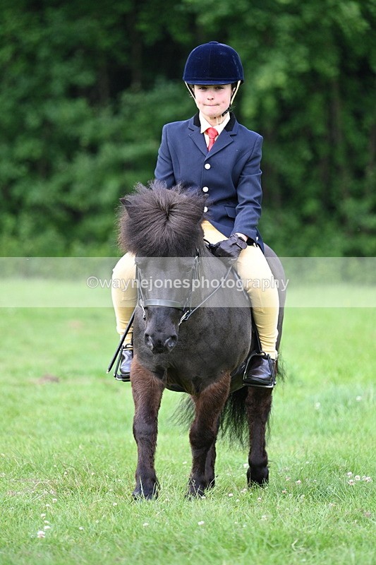 WJ7_1027 - Class 11 Condition & Turnout