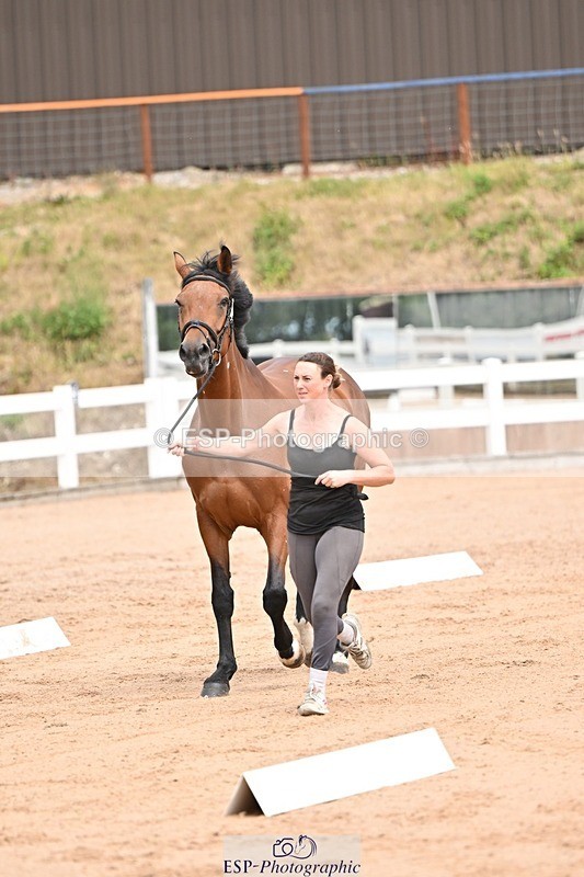 250716-150842-01685 - Trot Up 2.30 to 3.30