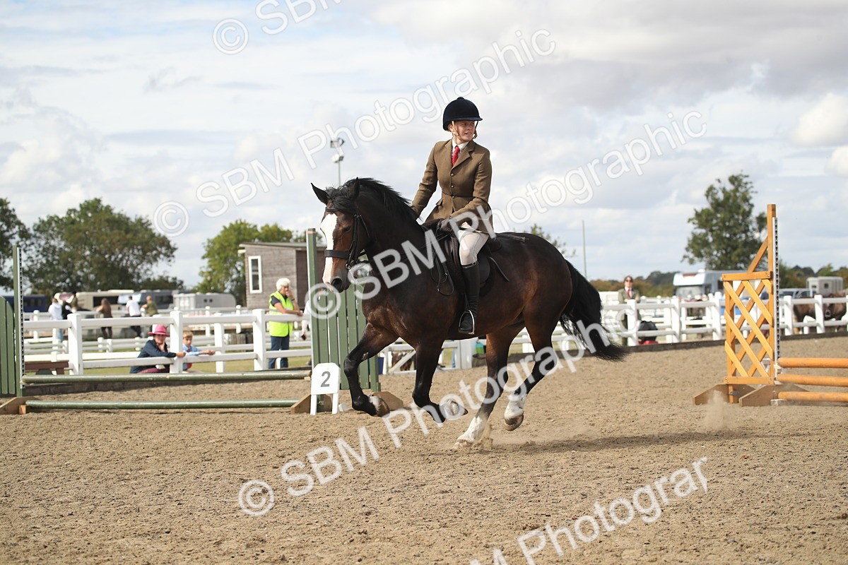 SBM_14508 - Class 505a - M&M Working Veteran - 50cm (15-19)