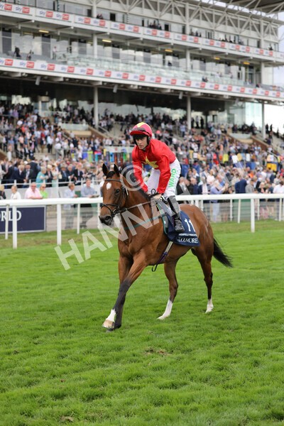 yr19082022r4-91 - Race 4 3.35pm Coolmore Wootton Bassett Nunthorpe Stakes (British Champion Series Race)