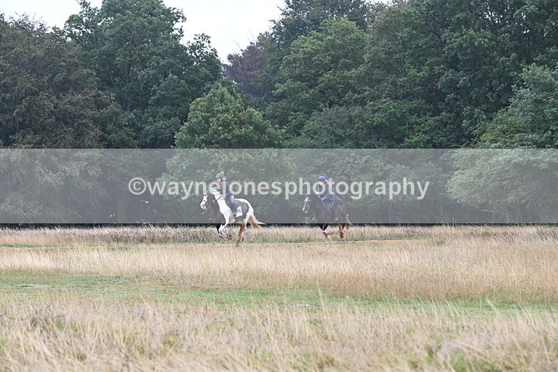 DSC_1508 - Time at Statue 11:54 to 12:12