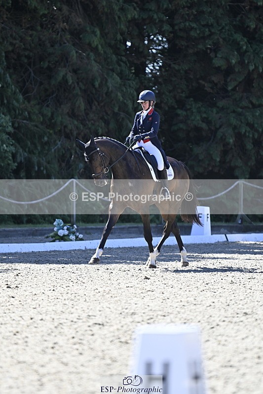 250522A-101415-02649 - B-310-Kitty.King-LISCARROW.FERNHILL