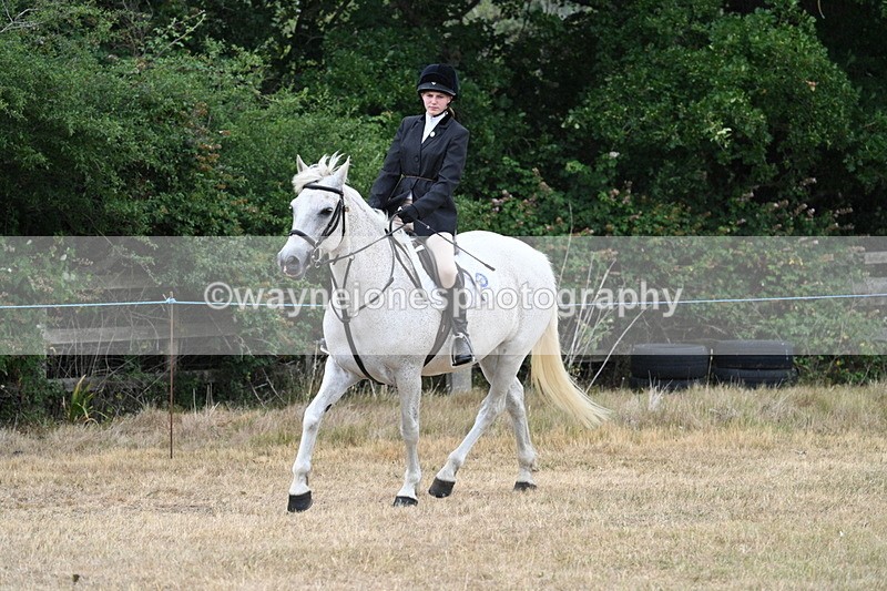 WJ7_0940 - Class 7 Riding Club Show Horse