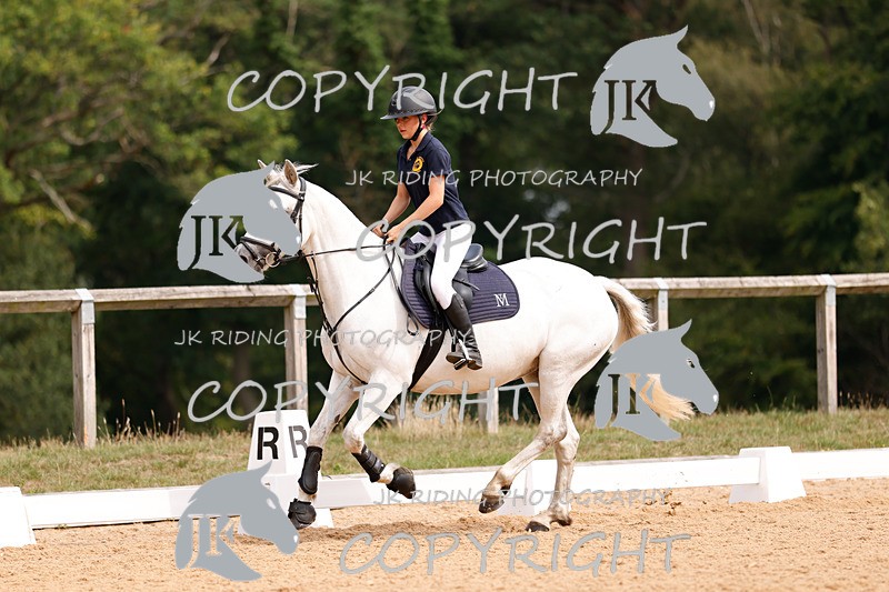 _R6A2436 - Dressage Morning