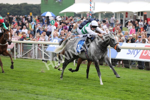 yr18082022r4-31 - Race 4 3.35pm Darley Yorkshire Oaks (British Champions Series Race)