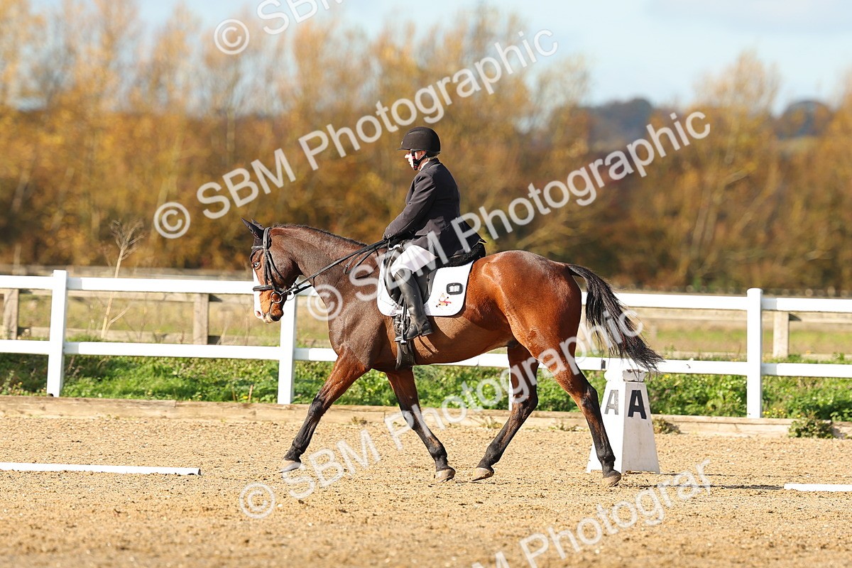 SBM_000686 - Novice 5