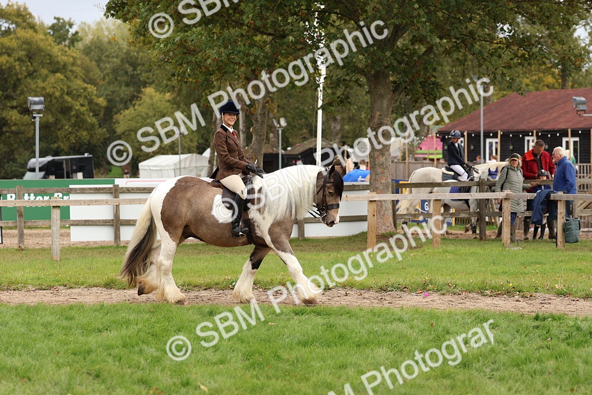 SBM_64385 - S58 - Coloured Pony Ridden