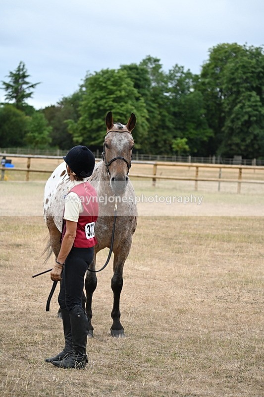 WJ6_8257 - Class 10 Coloured in Hand