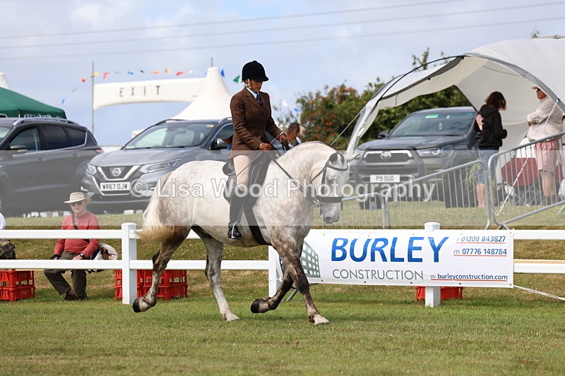 3E7A0239 - Class 6: Rising Star Maxi Cobs