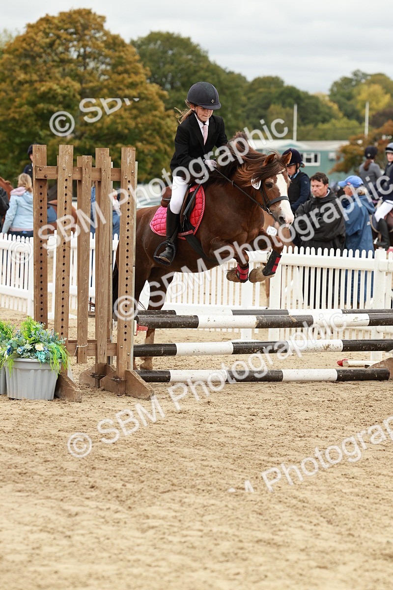SBM_67090 - J13 - Junior Pony 60cm Championship