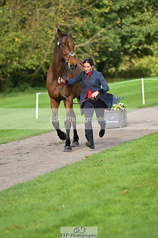 241023-132658-00295 - 053-Lois.Teal-Z7.CATASTROPHE