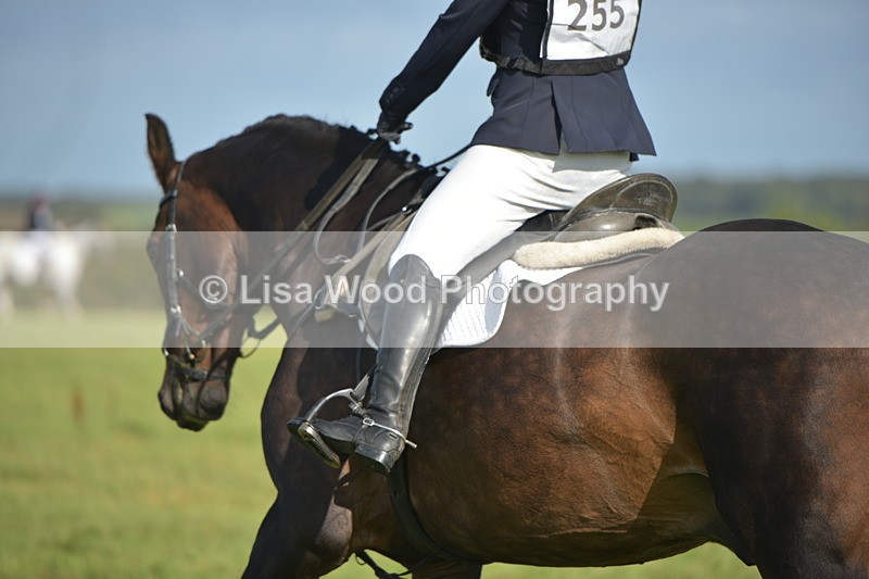 RAY_7508 - Class 2B: Trekenning Open: Dressage