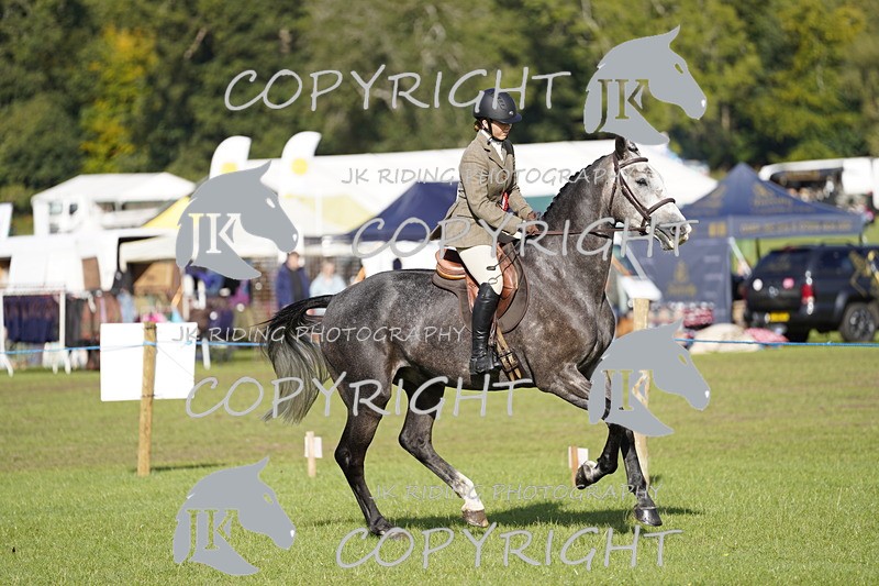 _DSC9609 - Class 8 & 17 Ridden Hunter & Ridden Hunter Pony