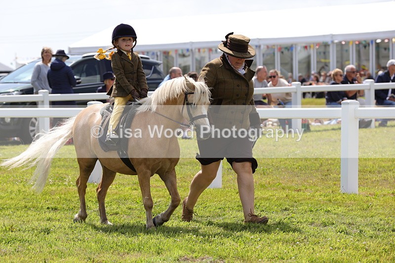 1X9A5181 - Class 36: NPS M&M Lead Rein