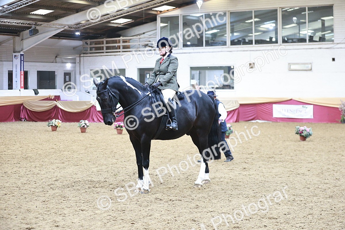 SBM_08967 - Class 12R - Regional Ridden Pre-Vet