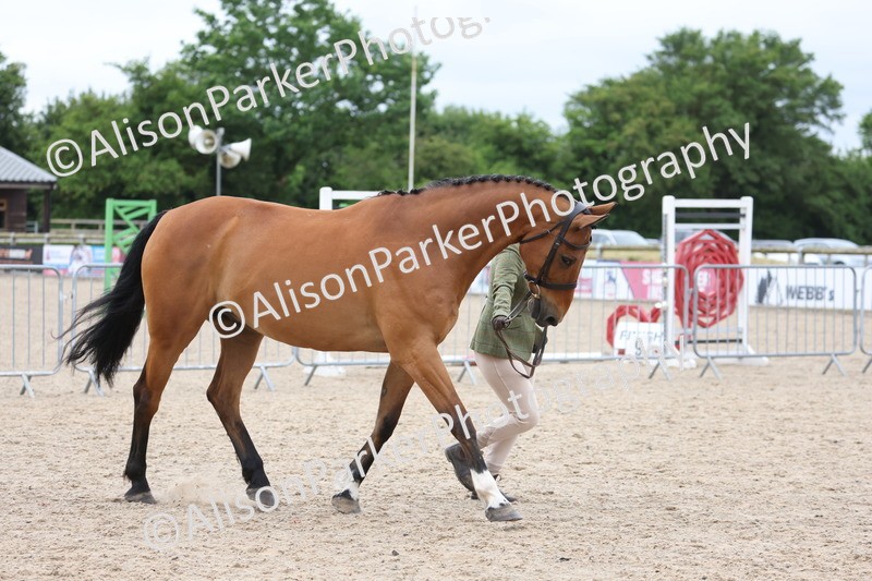 20250524-0827 - Class 7 - Veteran