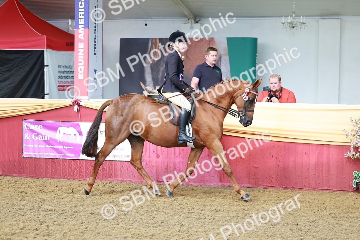 SBM_12015 - Class 102 - Equitation (Best Rider) Adult