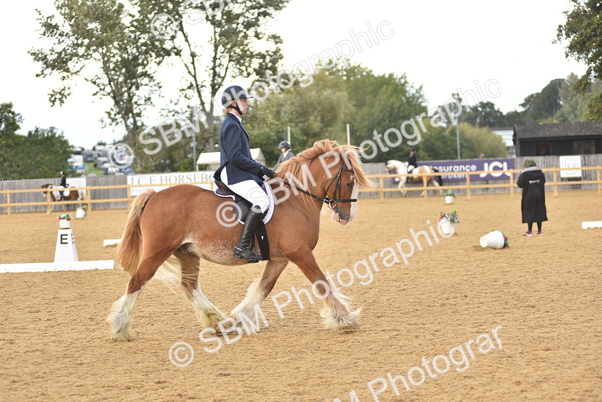 SBM_29628 - D16 -Small Tour Championship Novice 2