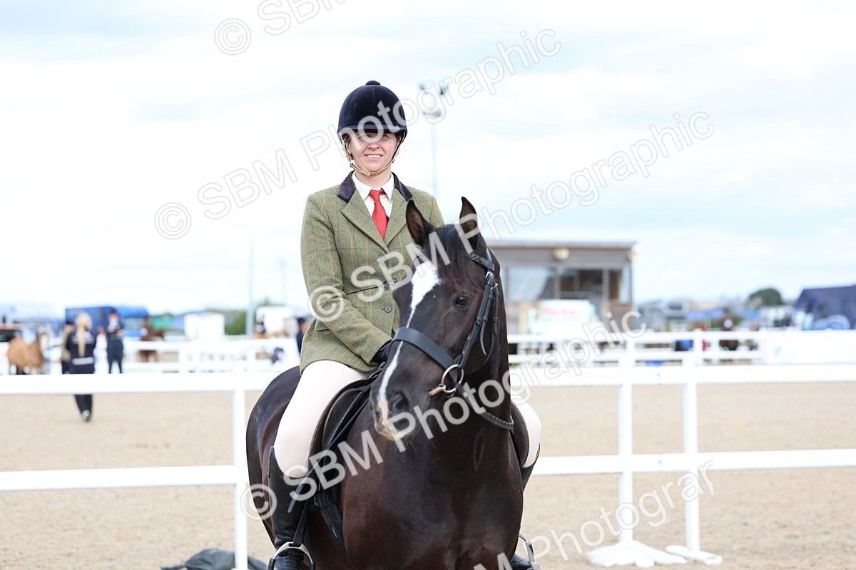 SBM_15820 - Class 314 - Family Horse - Pony