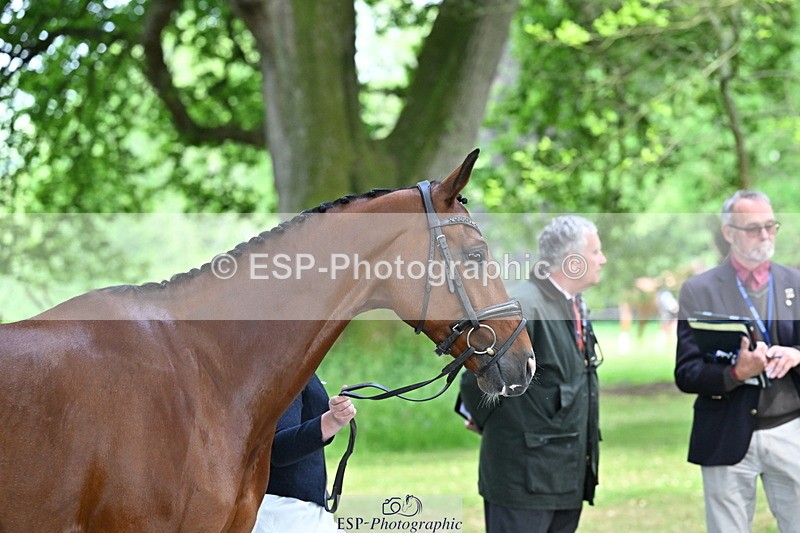 250521A-151032-00315 - B-352-Samantha.Lissington-MALIBU.TS